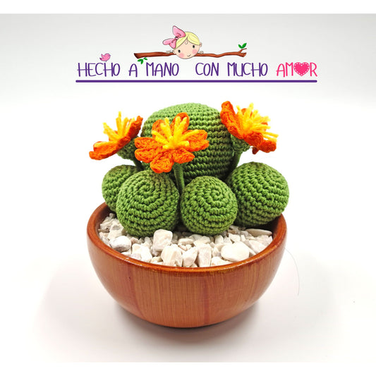 Cactus a crochet en maceta